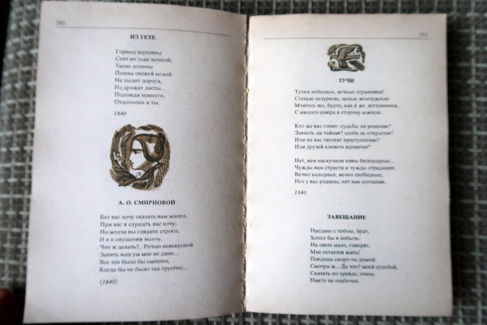 Echi eloquenti: Vintage Book - La lirica russa del XIX secolo, 1J173 in vendita 2