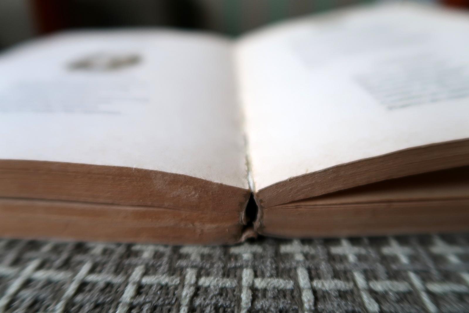 Echi eloquenti: Vintage Book - La lirica russa del XIX secolo, 1J173 in vendita 4
