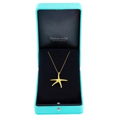 Elsa Peretti for Tiffany & Co. Star Necklace