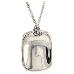 Elsa Peretti Tiffany & Co Tag Platinum Pendant and Chain