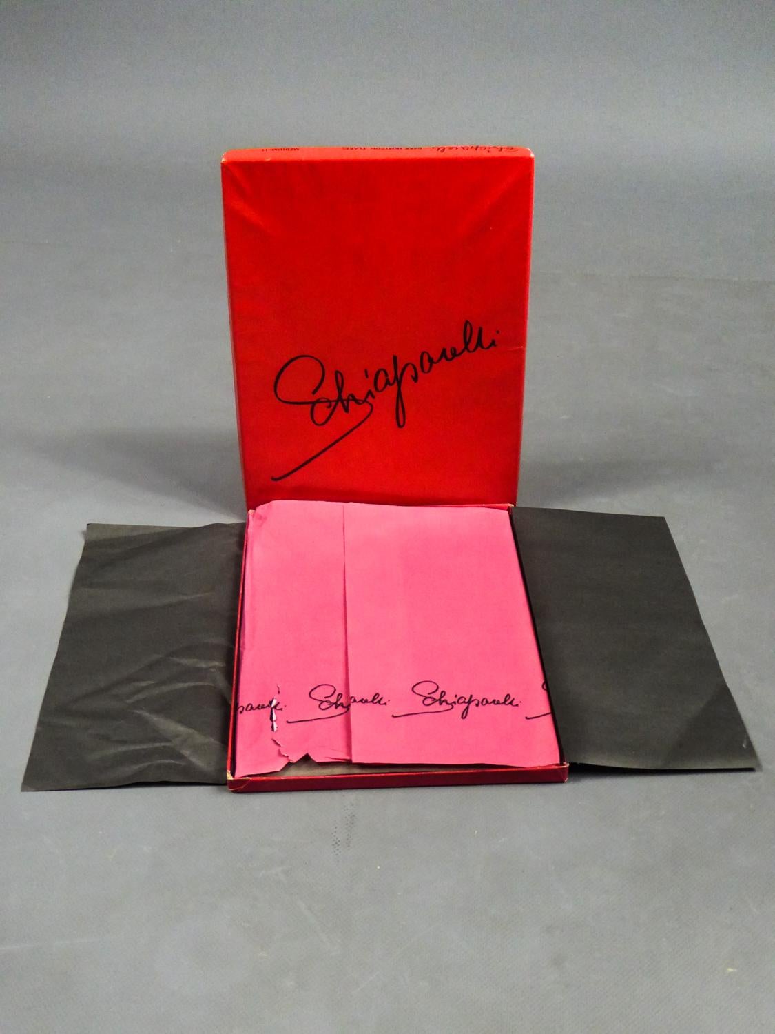 Elsa Schiaparelli Pair of Stockings and Its Original Box Circa 1958  For Sale 2