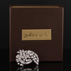 Elwood Van Clief Broche en platine et diamants