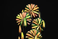 Elytra Composition under a Globe