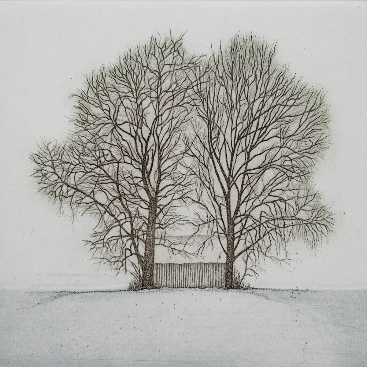 Elżbieta Bocianowska Figurative Print - A duo. Landscape figurative print, Miniature, Trees, Polish artist