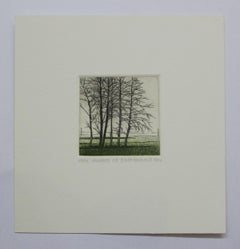 Alders - XXI century, Landscape figurative print, Trees