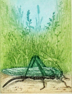 Grasshopper - XXI century, Figurative colourful print