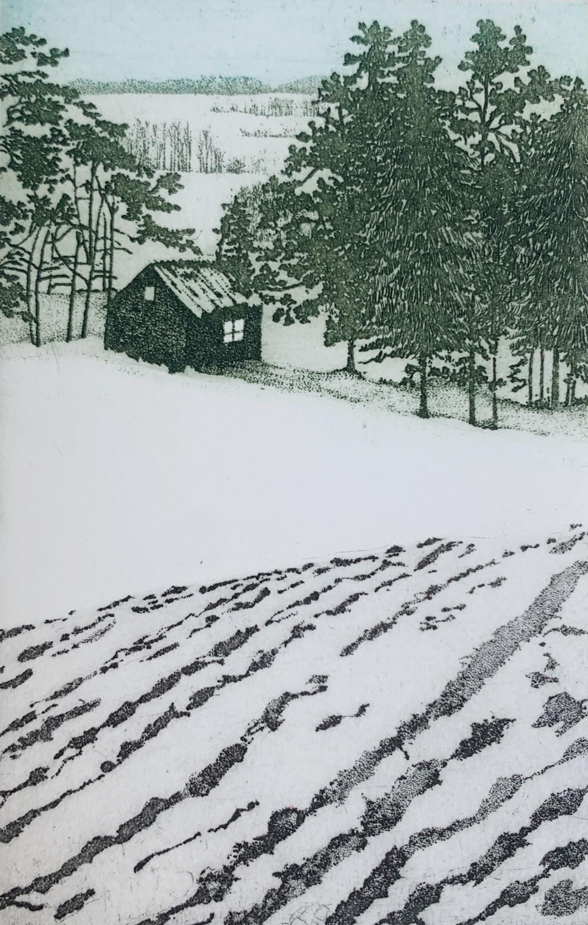 Figurative Print di Elżbieta Bocianowska - Gennaio. Paesaggio figurativo stampato, Miniatura, Alberi, Artista polacco