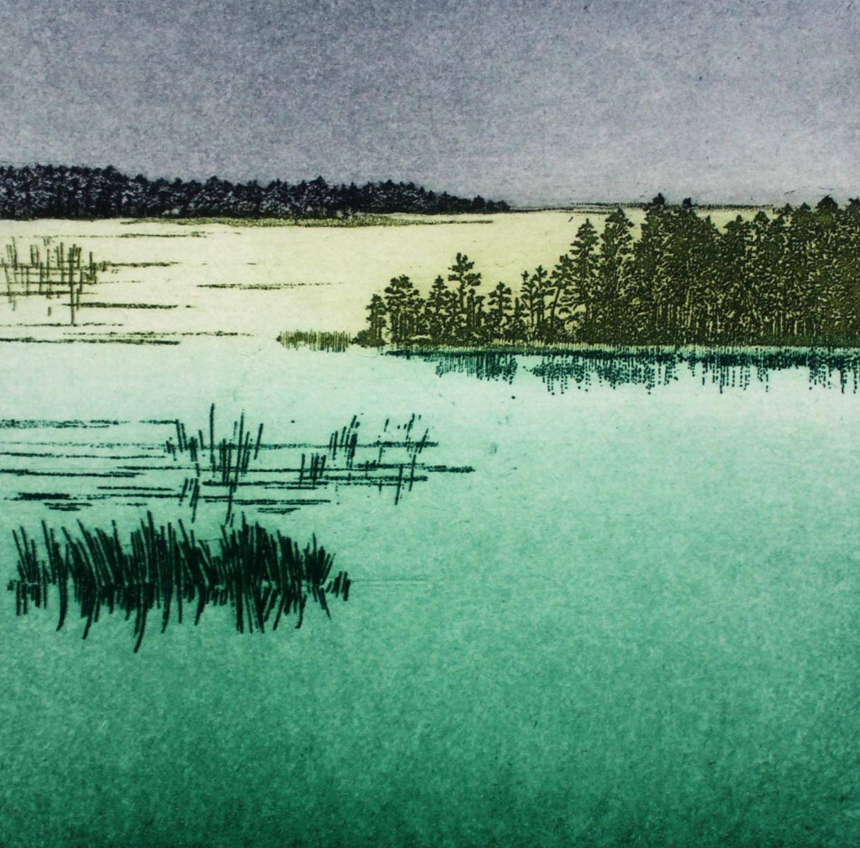 Elżbieta Bocianowska Figurative Print - Lake 5. Landscape figurative print, Miniature, Polish artist