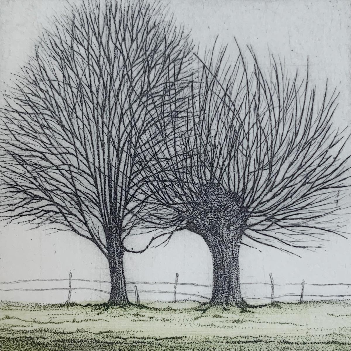 Figurative Print di Elżbieta Bocianowska - La magia degli alberi. Paesaggio figurativo stampato, Miniatura, Alberi, Artista polacco