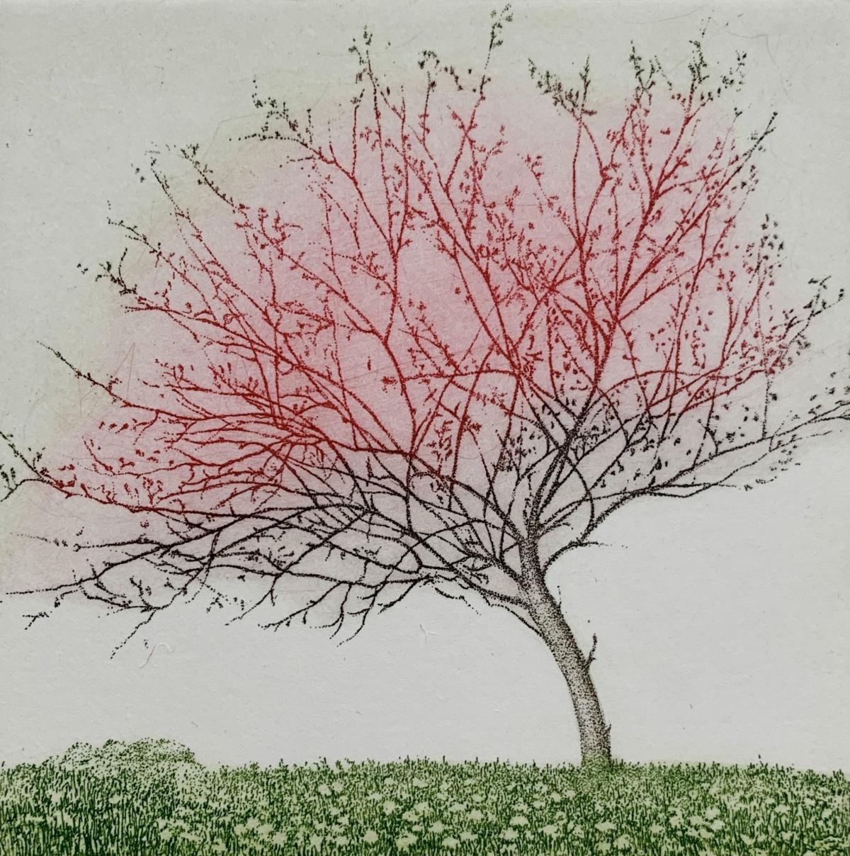 Elżbieta Bocianowska Figurative Print - Primavera. Landscape figurative print, Miniature, Trees, Polish artist