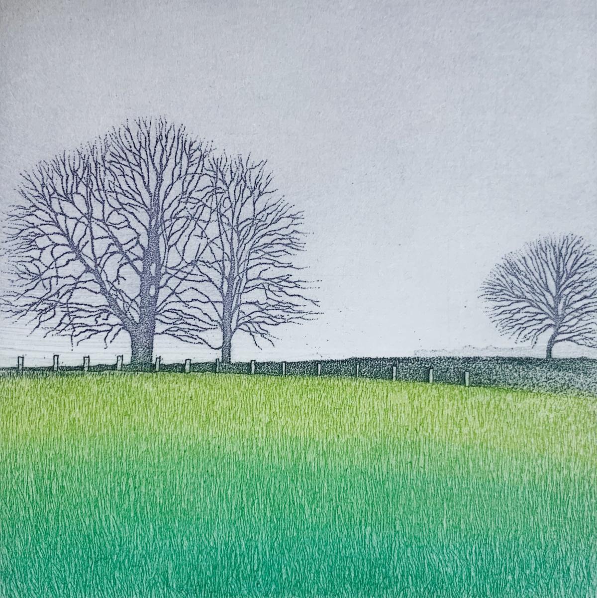 Figurative Print di Elżbieta Bocianowska - Silenzio 2. Stampa figurativa di paesaggio, Miniatura, Alberi, Artista polacco