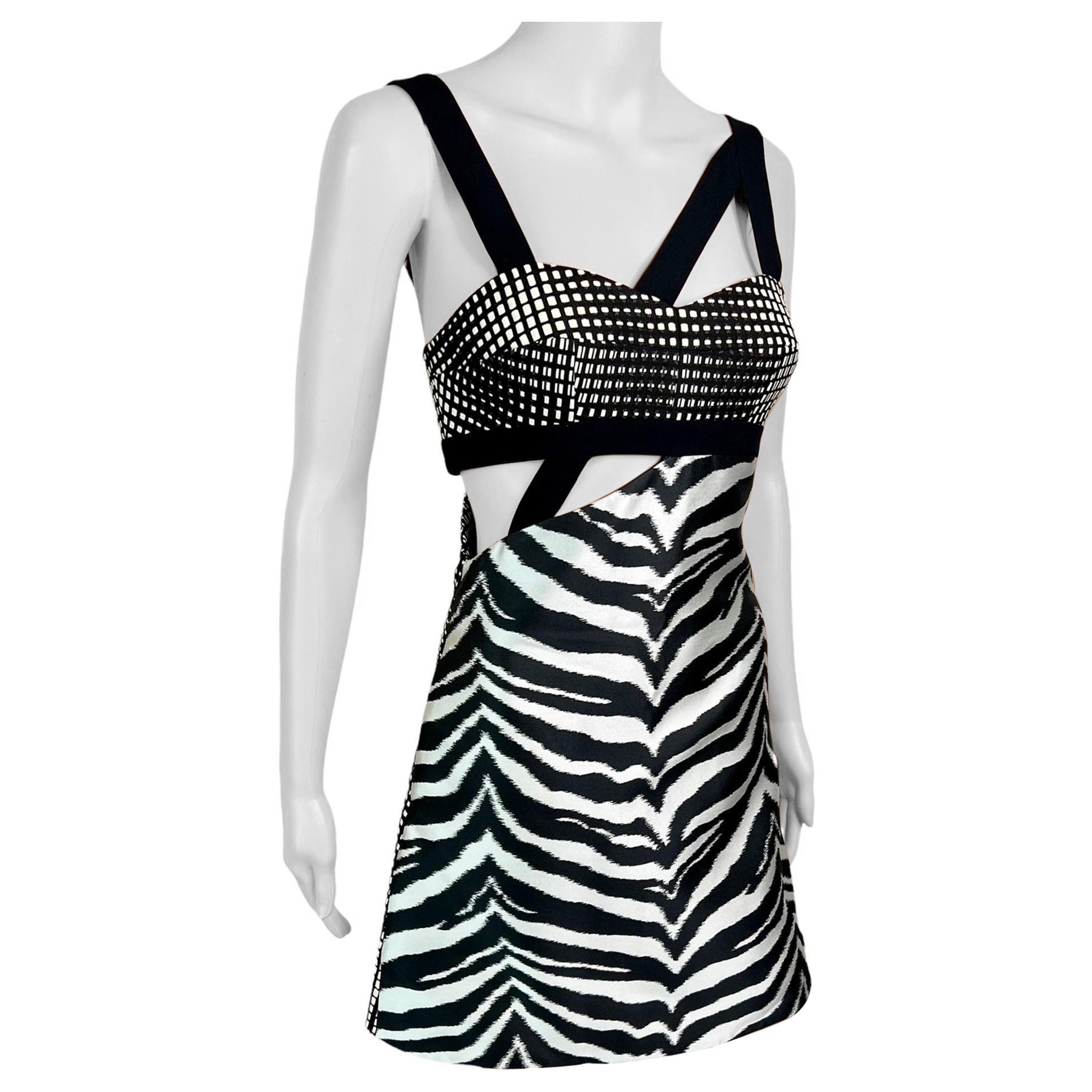 Emanuel Ungaro Resort 2015 Laufsteg Ausgeschnittenes Zebra-Minikleid