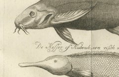Embalmed Birds and Nile Fish – Egyptian Natural Curiosities, c.1776