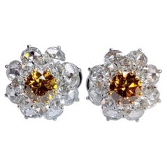 Embers of the Sun - GIA Certified Round Brilliant set with Rosecut Diamonds