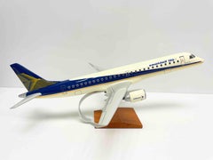 Embraer 190 Jet Airplane Aircraft Model Brazil
