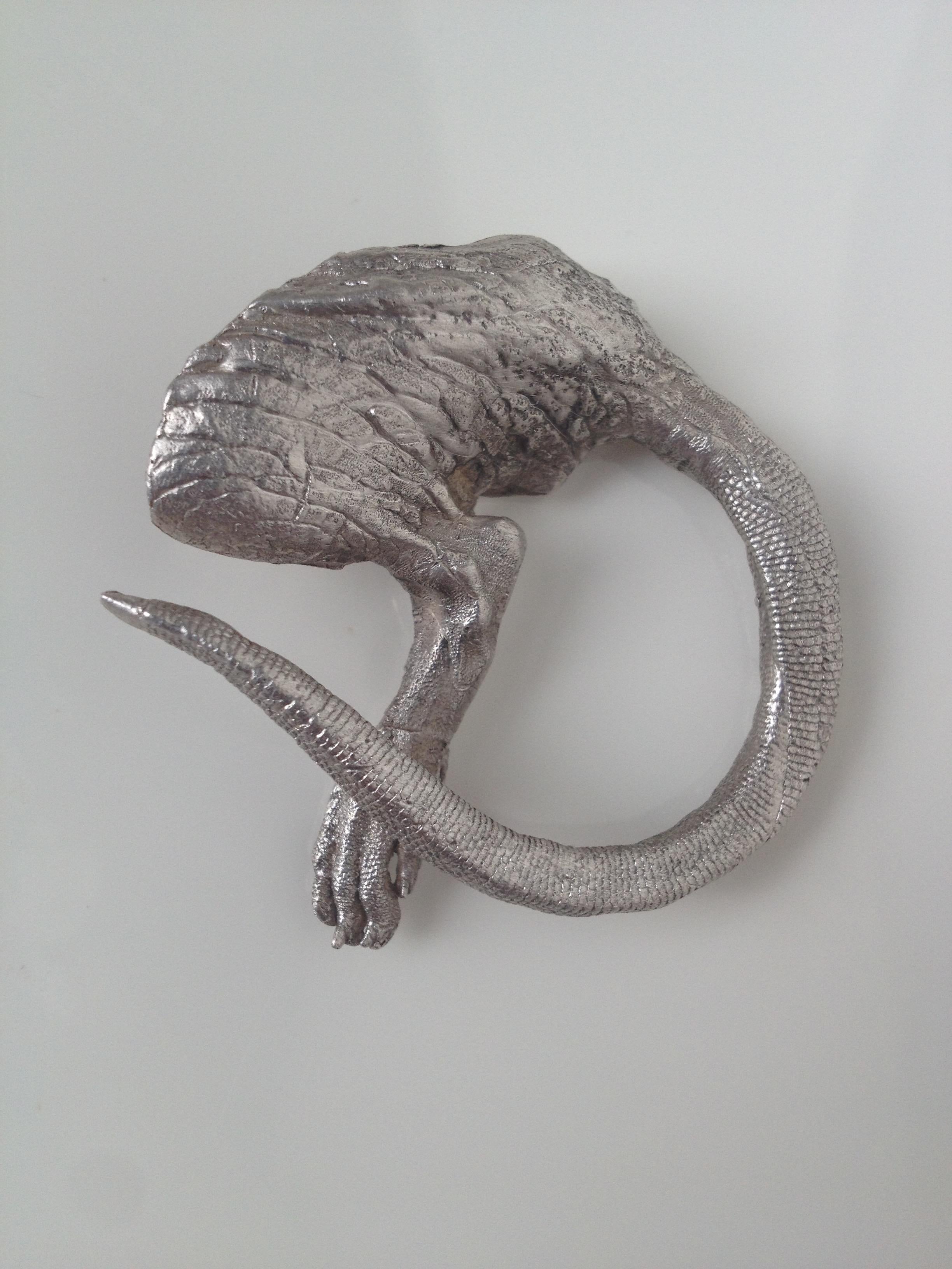 This rats ass wearable art jewellery design originates from a ten year sculptural exploration of our fellow mammal, the rat. Cast from the actual anatomy of this species, this original brooch is a creative salute to a fascinating species. An
