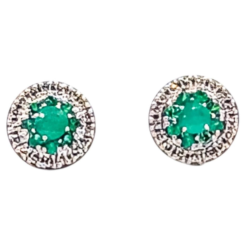 Emerald and Diamond Halo Stud Earrings in 14k White Gold