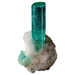 Natural Specimens