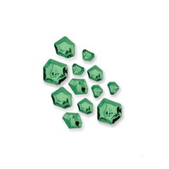 Emerald Set of 12 Kamyki Wall Decor by Zieta