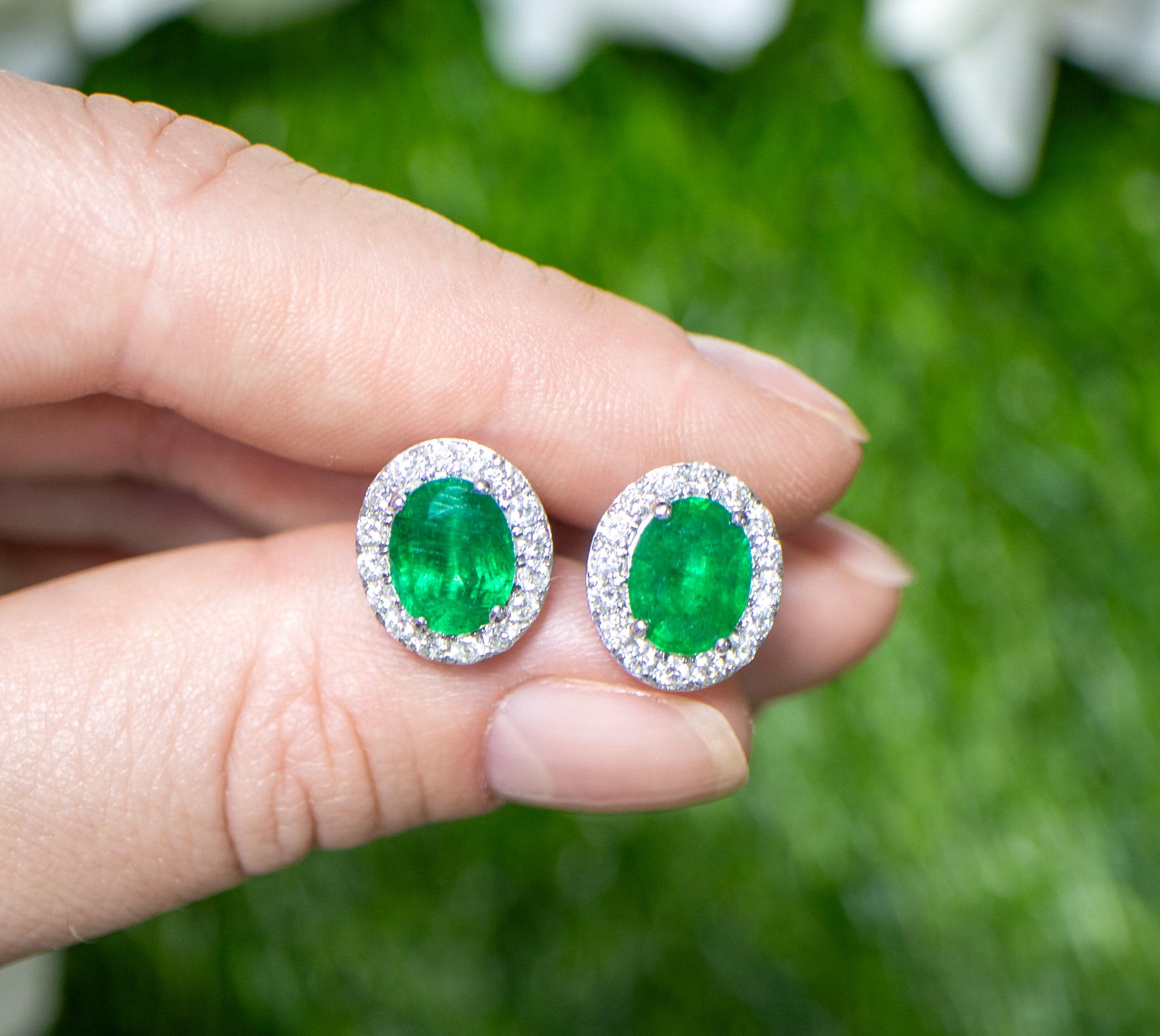 Modern Emerald Stud Earrings Diamond Halo 4.65 Carats 18K Gold For Sale