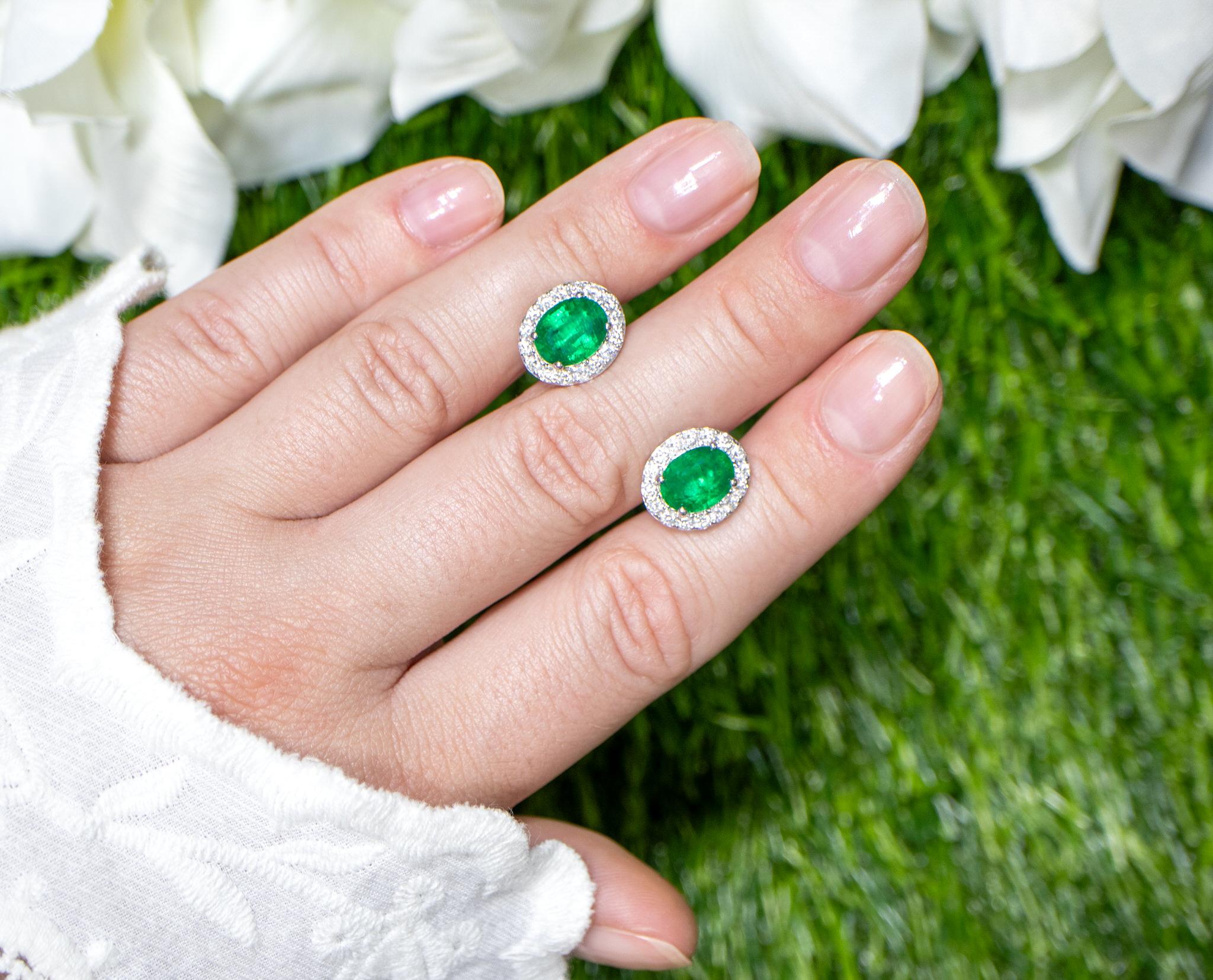 Emerald Stud Earrings Diamond Halo 4.65 Carats 18K Gold In Excellent Condition For Sale In Aliso Viejo, CA