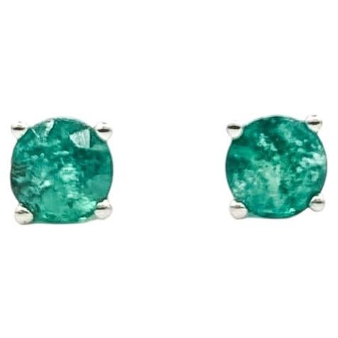 Emerald Stud Earrings in 14k White Gold