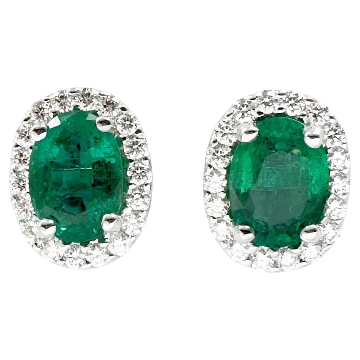 Emerald with Diamond Earrings set in 18K White Gold Settings