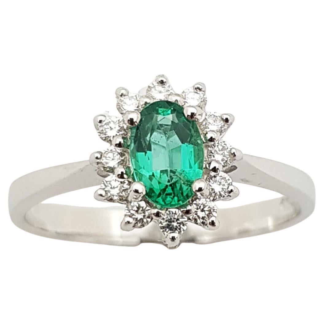 Emerald with Diamond Ring Set in 18 Karat White Gold Settings