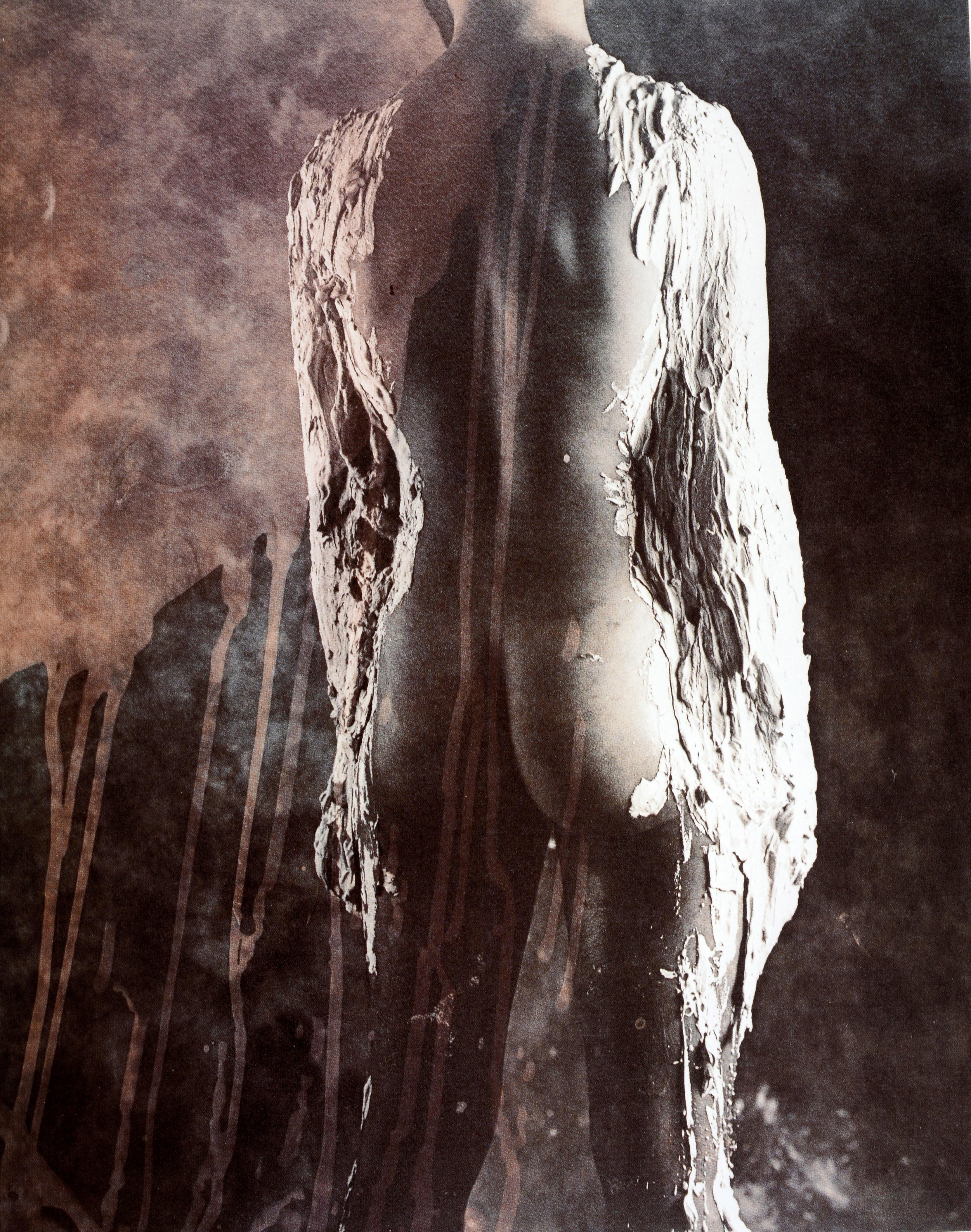 Emerging Bodies:Nudes from the Polaroid Collections by Barbara Hitchcock, 1st Ed For Sale 1