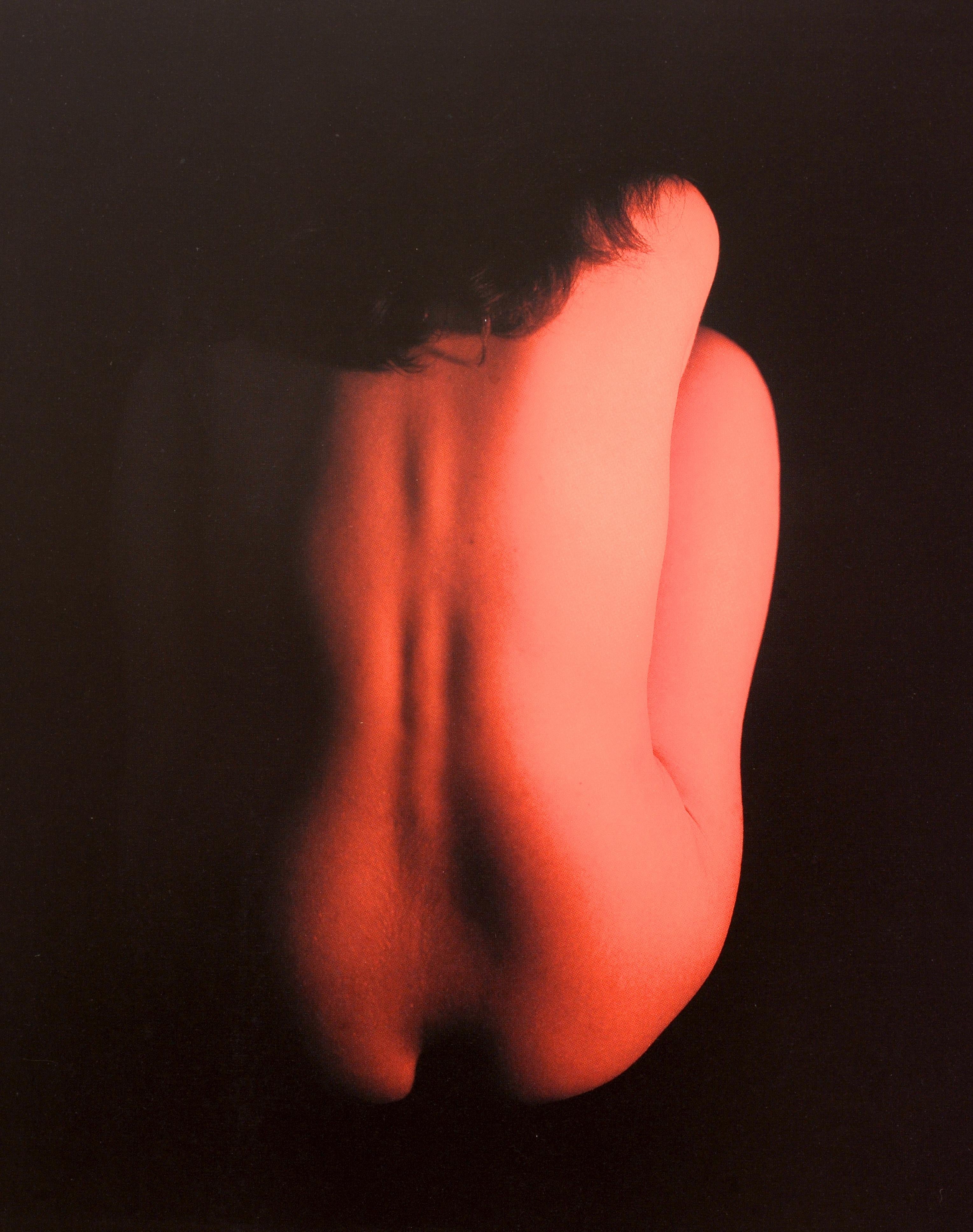 Paper Emerging Bodies:Nudes from the Polaroid Collections by Barbara Hitchcock, 1st Ed For Sale