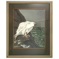 E.M.Haskel Gouache on Paper Painting of Gyr Hawk Bird