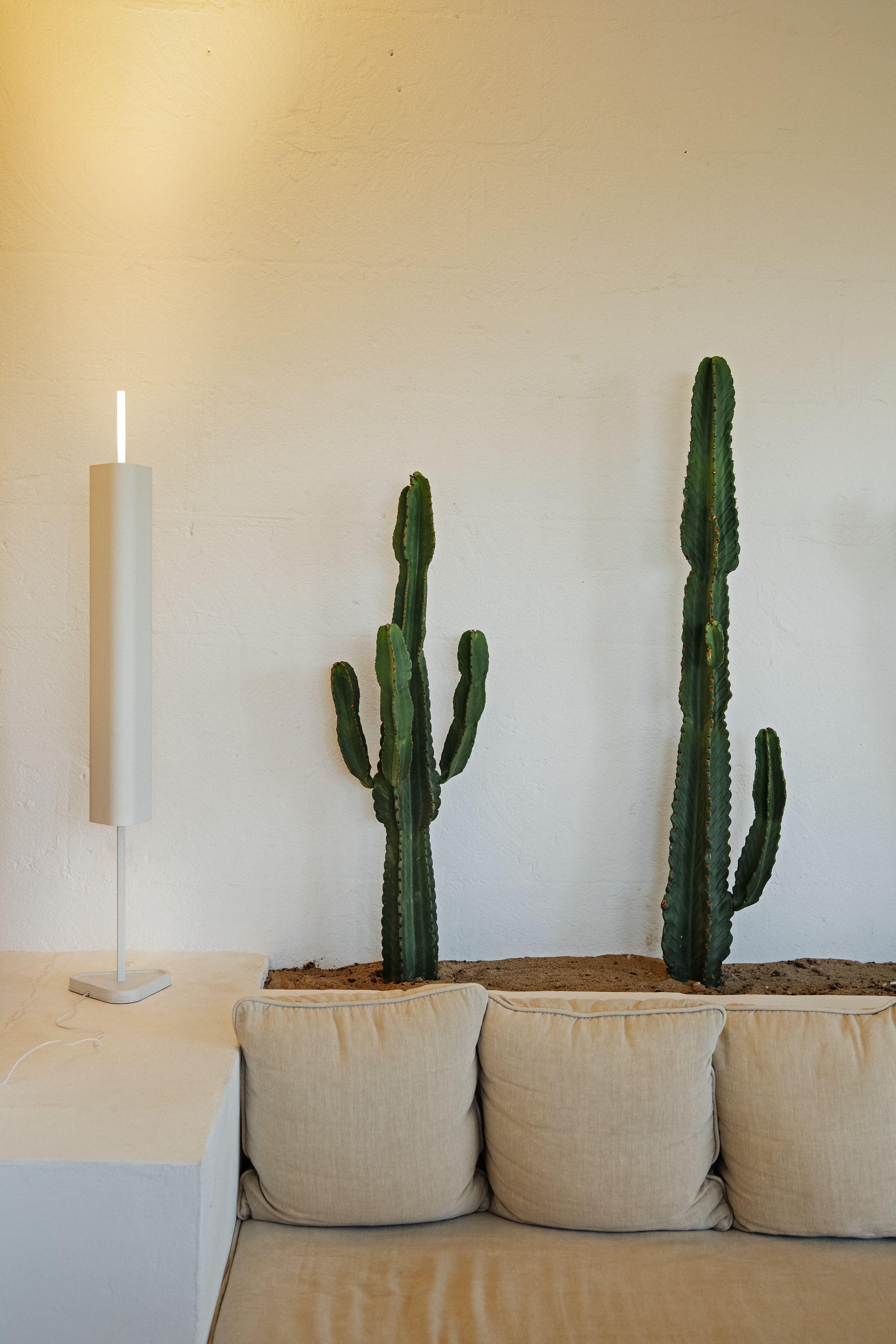 Emi Aluminium and PMMA Table Lamp in Deep Red by Erwan Bouroullec, 2025 For Sale 9