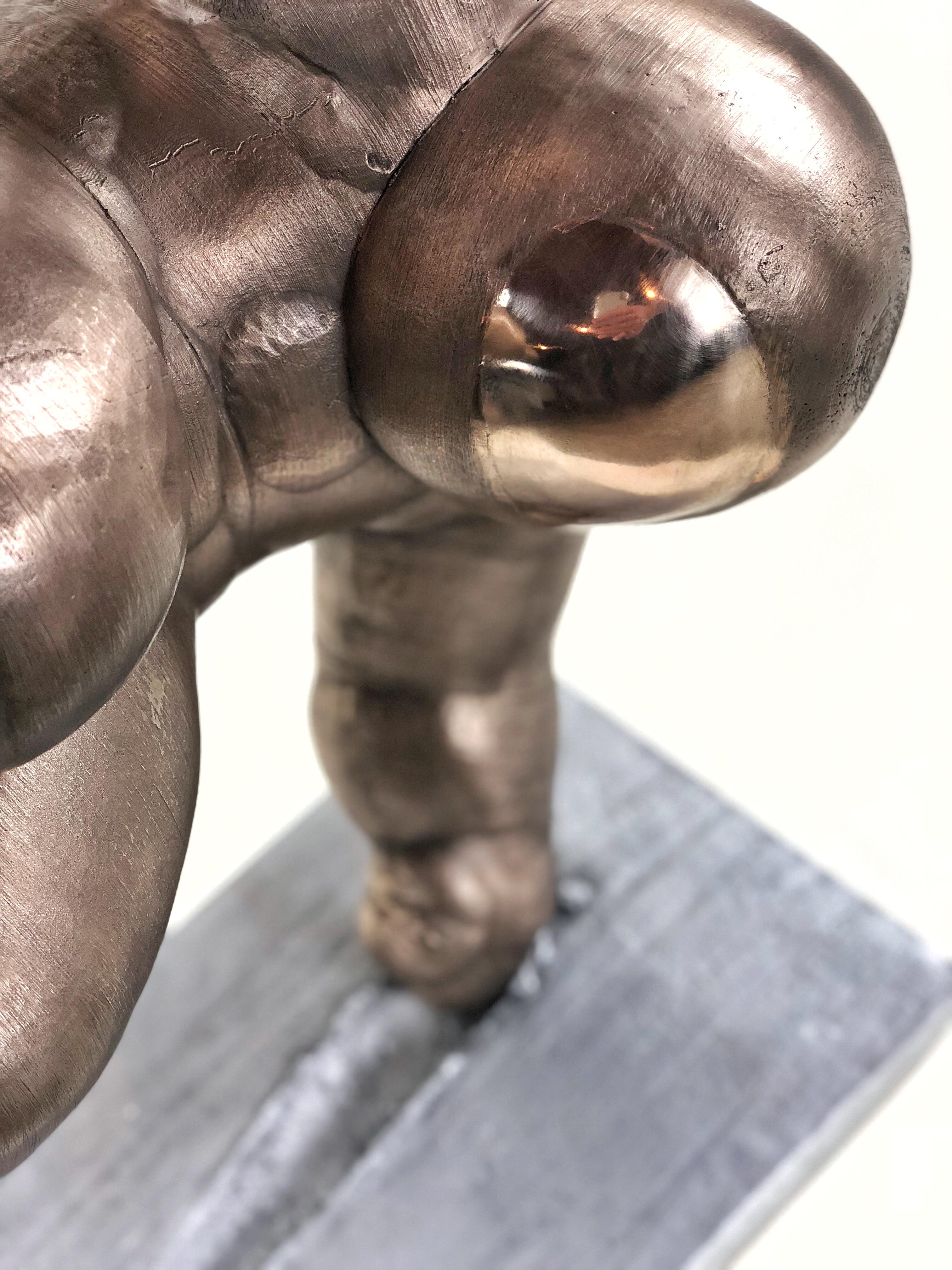 Bronze and aluminum - each edition has a unique mounting. Weight approx 50 lbs

Emil Alzamora was born in Lima, Peru 1975, and raised in Boca Grande, Florida. He later attended Florida State University where he graduated Magna cum Laude in 1998