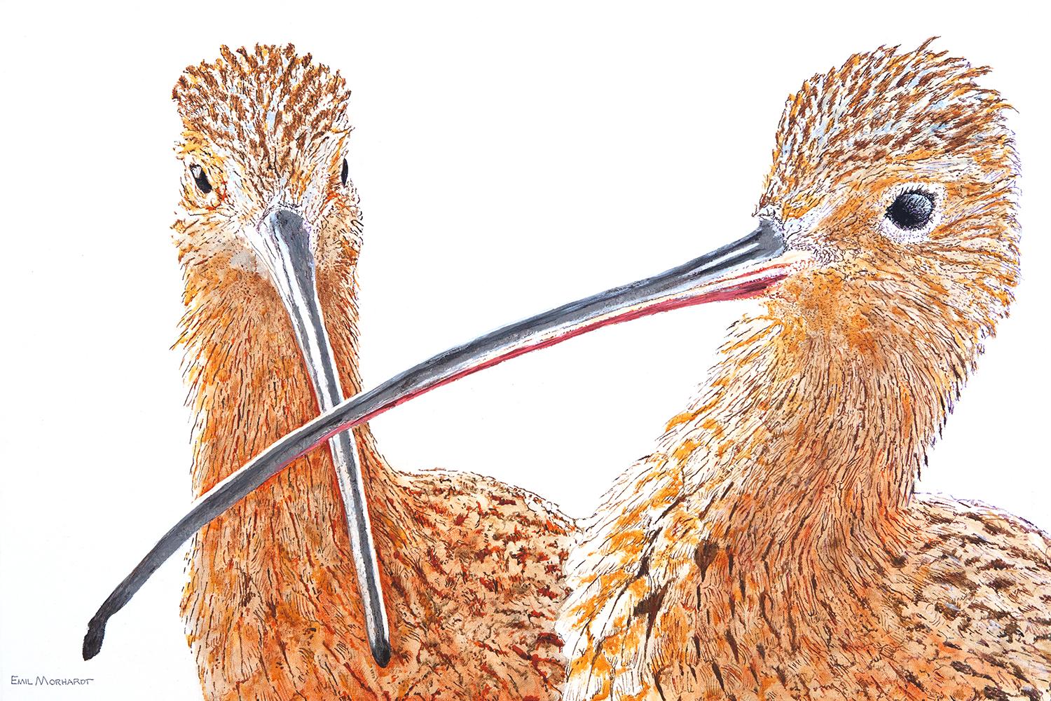 A Pair of Curlews, Original Painting - Art by Emil Morhardt