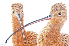 Used A Pair of Curlews, Original Painting