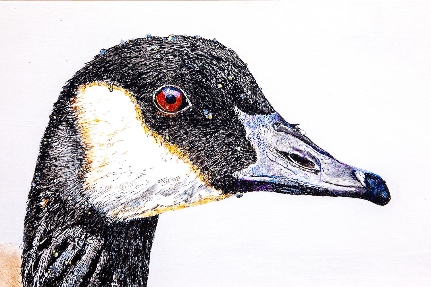 canadian goose painting