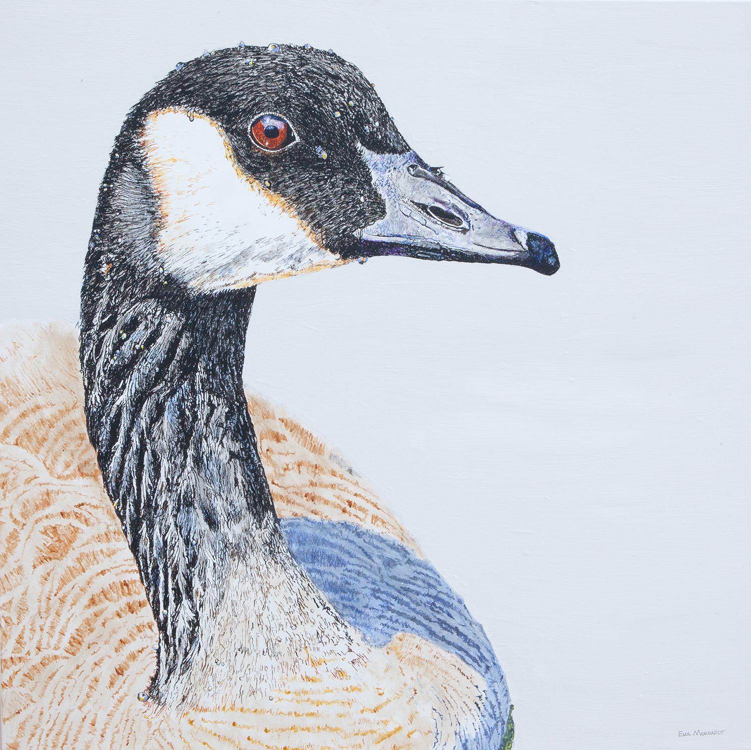 Emil Morhardt - Canada Goose #1, Original Painting For Sale at 1stDibs
