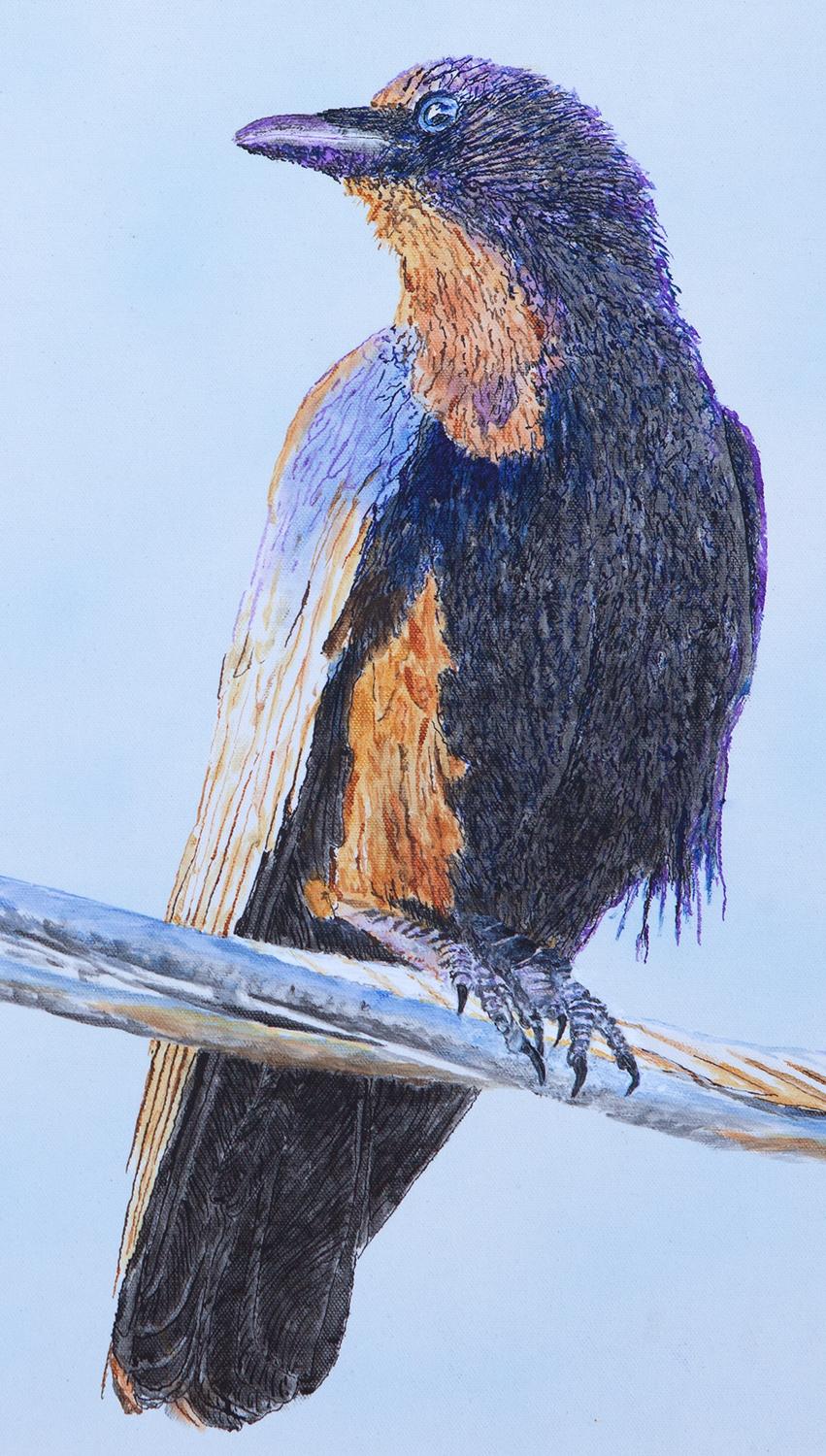 <p>Artist Comments<br>A realistic rendering by artist Emil Morhardt of a calm but vigilant crow on a powerline in the early morning sun. The bird is painted against a foggy blue sky gazing out into the distance. â€œThere was something peaceful about