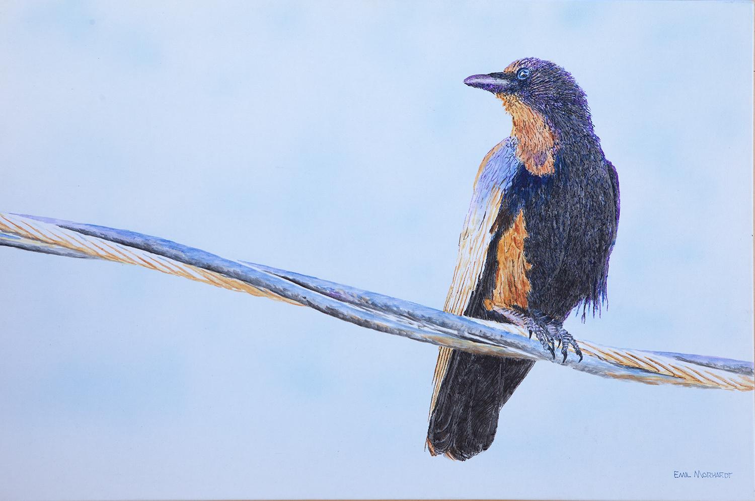 Crow on a Wire, peinture originale de Crow - Art de Emil Morhardt