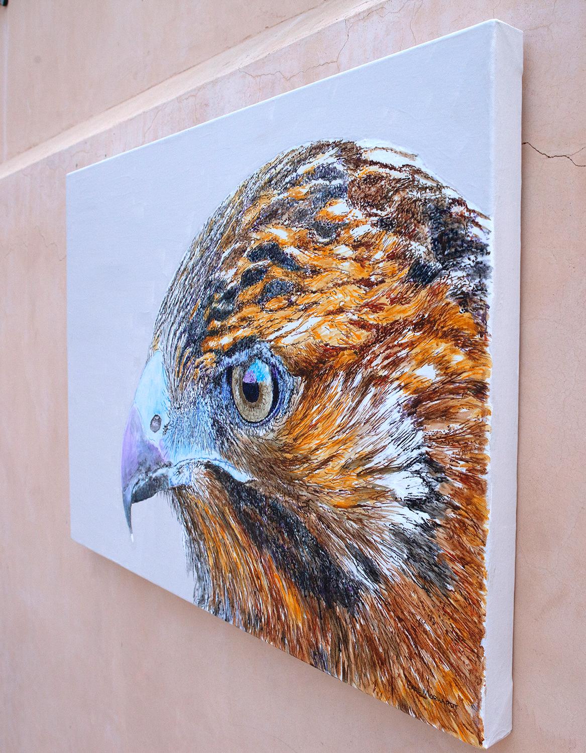 Galapagos Hawk, Originalgemälde – Painting von Emil Morhardt