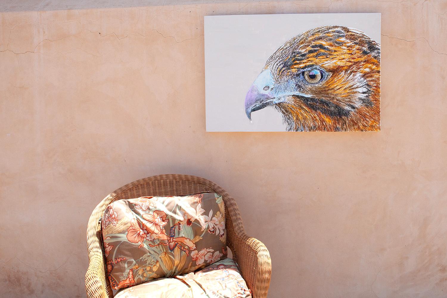 Galapagos Hawk, Originalgemälde (Amerikanischer Realismus), Painting, von Emil Morhardt