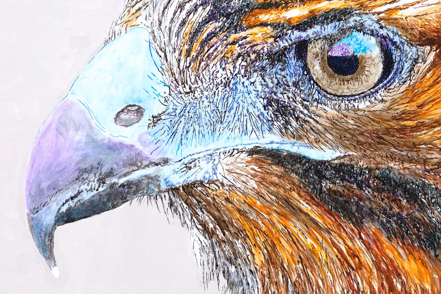 Galapagos Hawk, Originalgemälde (Beige), Animal Painting, von Emil Morhardt