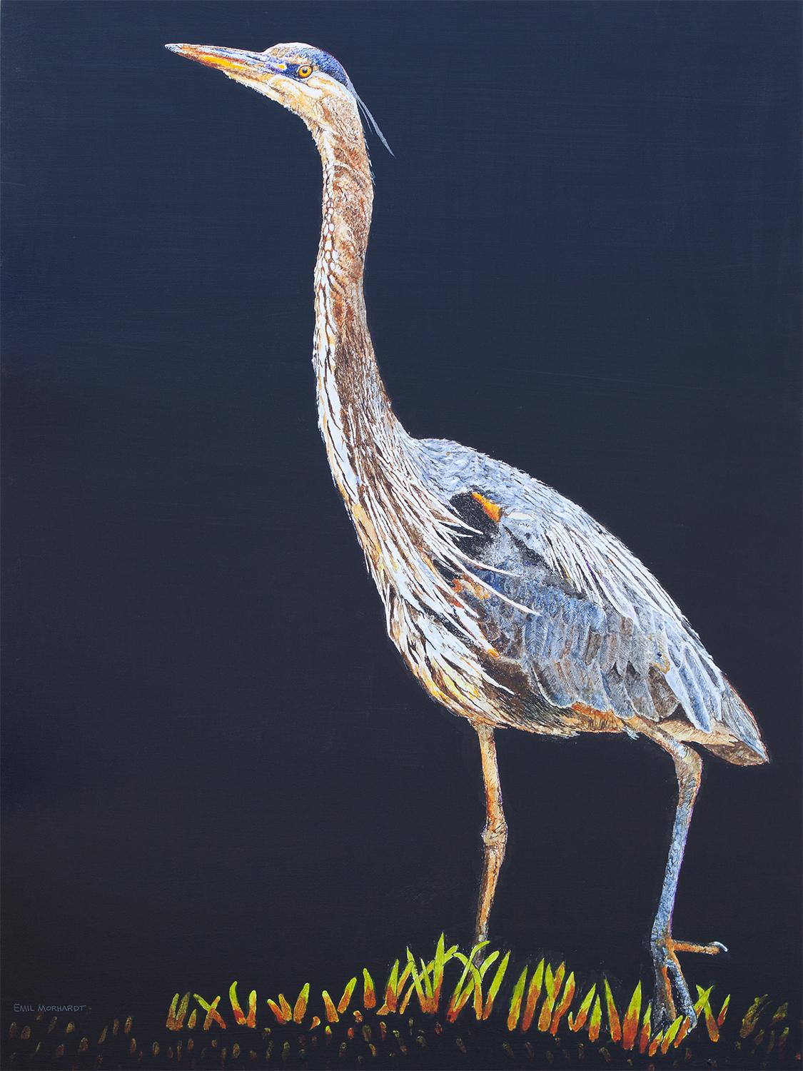 Animal Painting Emil Morhardt - Superbe Heron bleu n�° 6, peinture originale