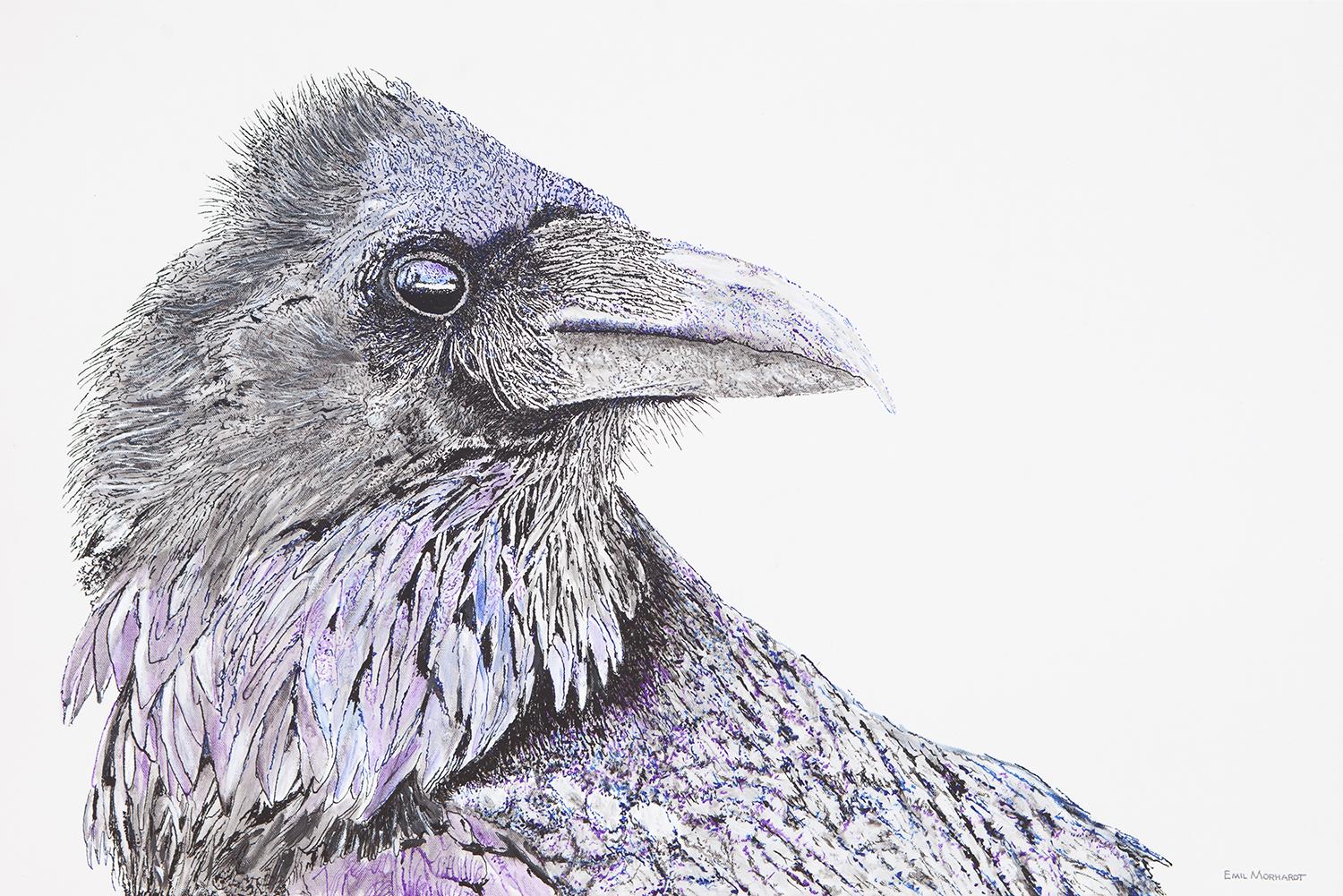 Emil Morhardt Animal Painting – Raven Skeptischer Raven, Originalgemälde