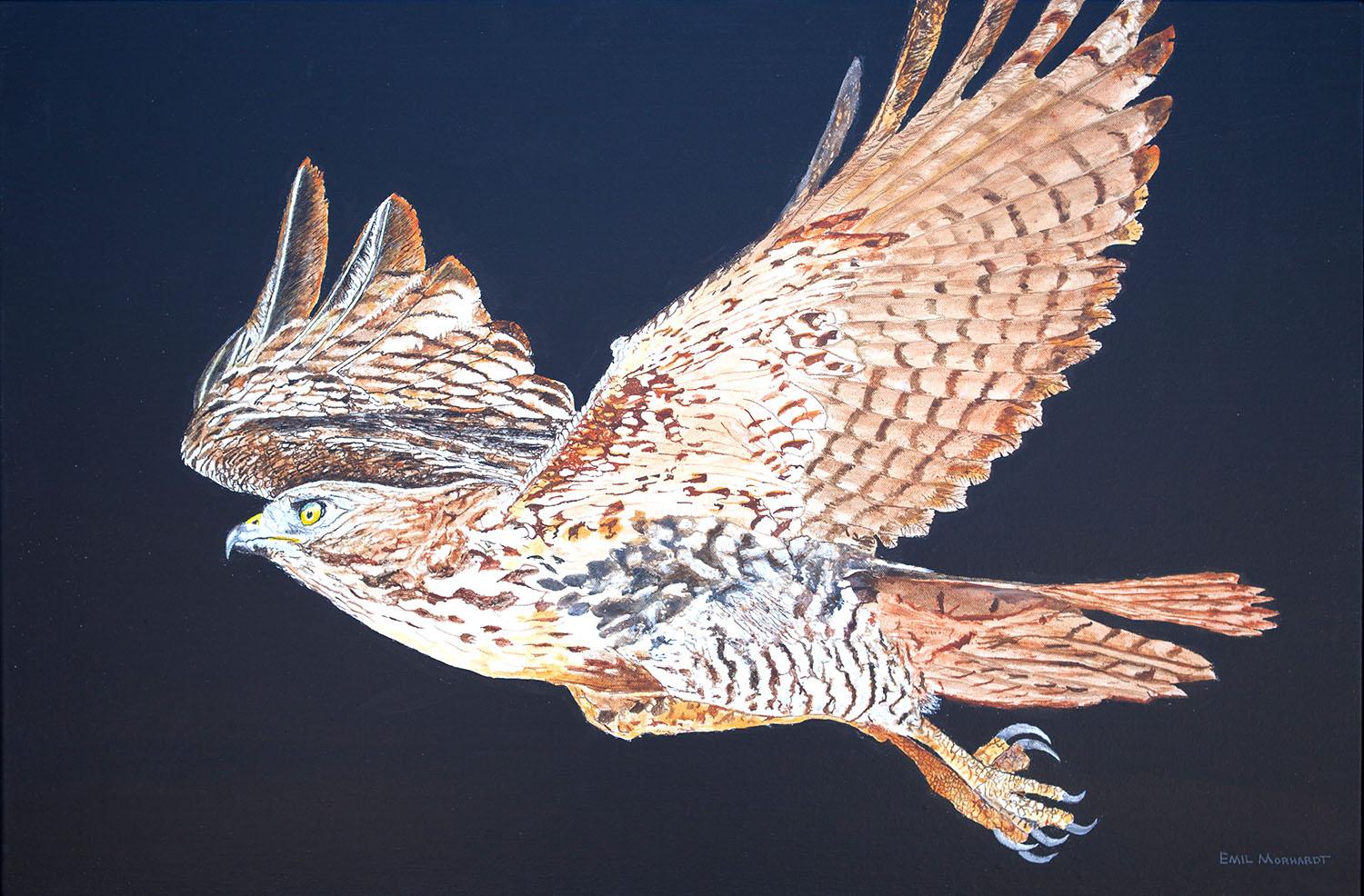 Red-Tailed Hawk at Night, Original Painting - Art by Emil Morhardt