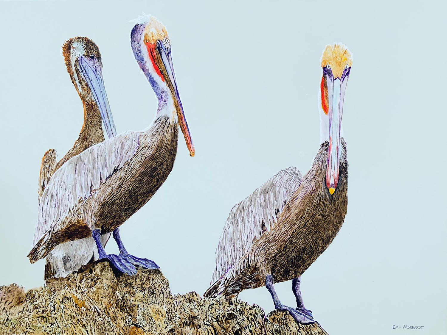 Three Pelicans, Original Painting - Art by Emil Morhardt