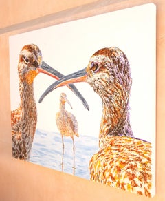 Tres Zarapitos en Conversación, Pintura Original