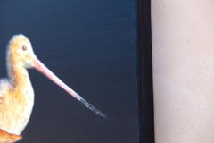 Two Godwits at Night, Original Painting