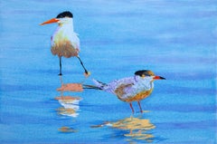 Two Tentative Terns, Original Painting