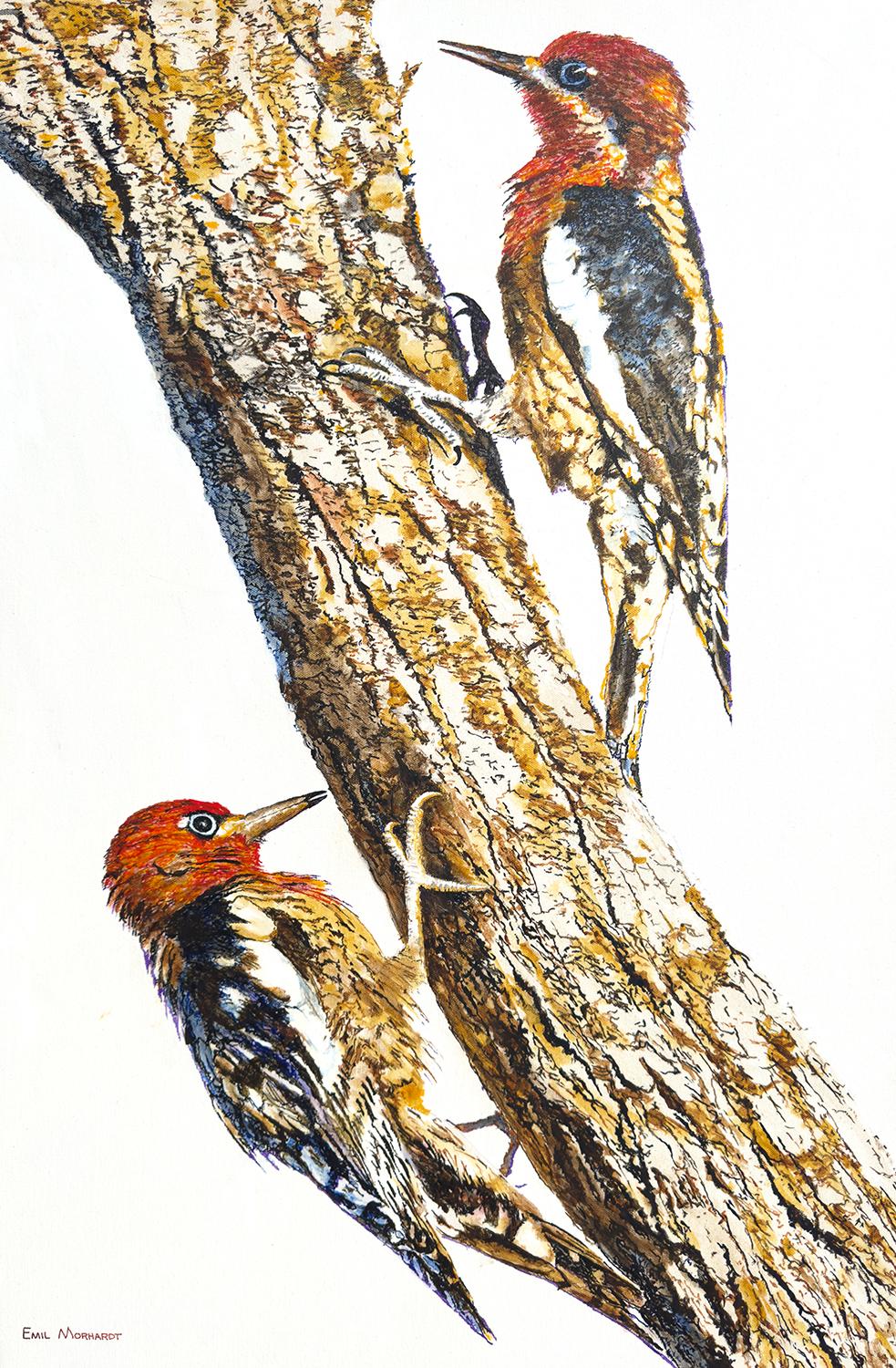 Woodpeckers on Tree, Original Painting - Art by Emil Morhardt